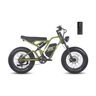 FAFREES F20 Ultra električni bicikl 20" 750W 25Ah, zeleni